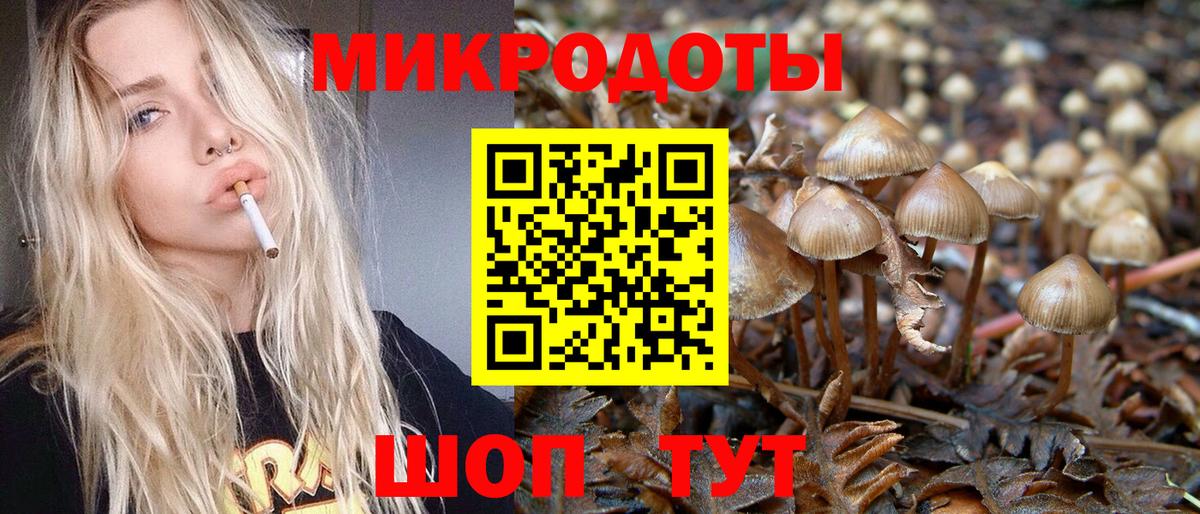 Псилоцибиновые грибы прущие грибы Топки